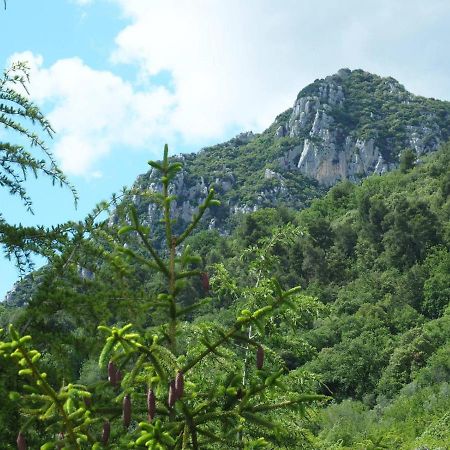 La Casa Fra Gli Ulivi Appartement Terni Buitenkant foto