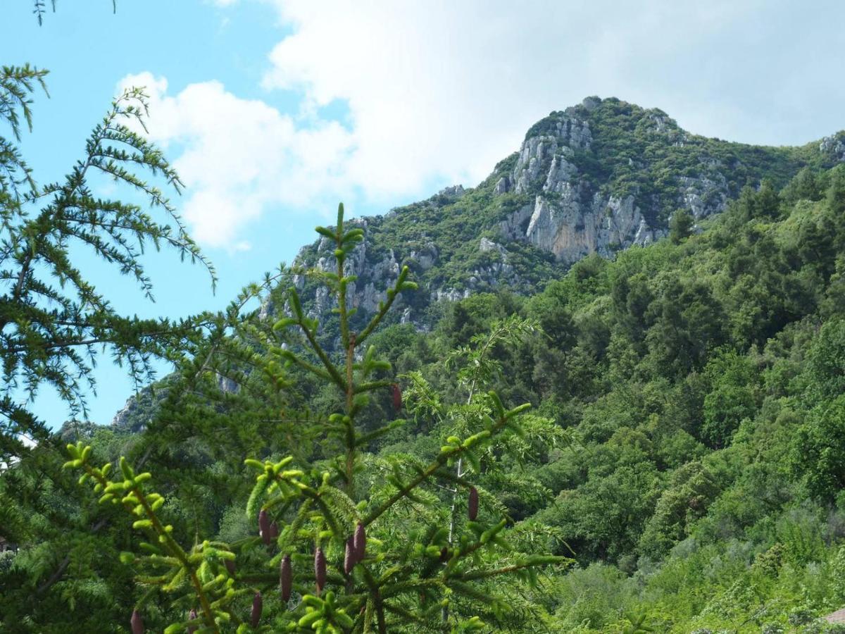 La Casa Fra Gli Ulivi Appartement Terni Buitenkant foto